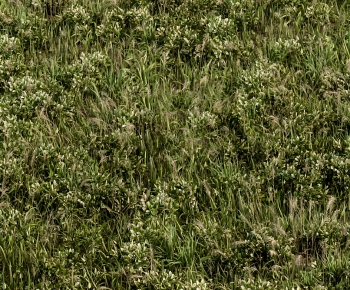 Modern Flowers And Grass-ID:327800049