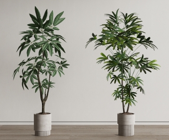 Modern Ground Green Plant Potted Plants-ID:396764992