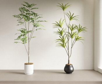 Modern Ground Green Plant Potted Plants-ID:666274077