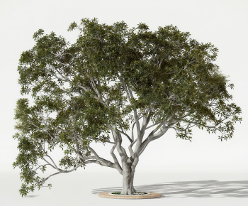 Modern Tree Pool-ID:396483905