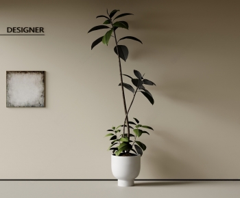 Modern Ground Green Plant Potted Plants-ID:443841931