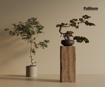 Modern Ground Green Plant Potted Plants-ID:158018114