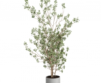 Modern Ground Green Plant Potted Plants-ID:909340412