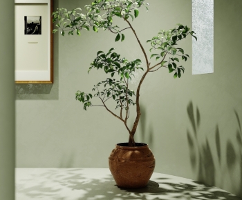 Modern Ground Green Plant Potted Plants-ID:830816985