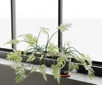 Modern Potted Green Plant-ID:284385925