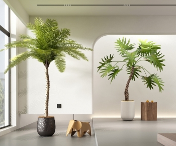 Modern Ground Green Plant Potted Plants-ID:229577063