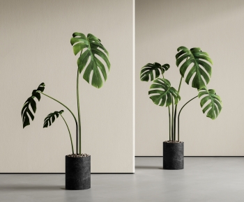 Modern Ground Green Plant Potted Plants-ID:952806008