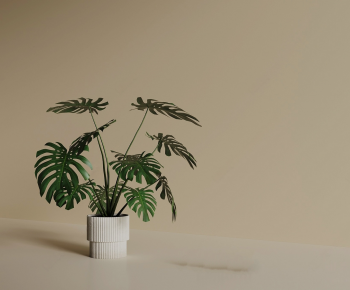 Modern Ground Green Plant Potted Plants-ID:170389896