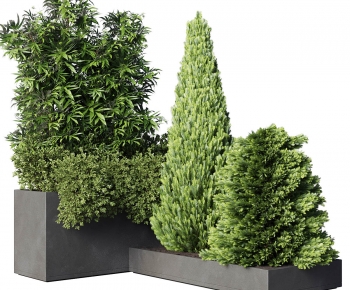 Modern Flower Bed, Flower Bowl, Flower Box-ID:967786078