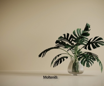 Modern Ground Green Plant Potted Plants-ID:487020037