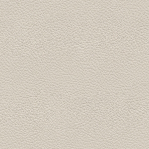 ModernRough Grain Leather