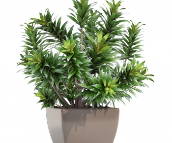Modern Ground Green Plant Potted Plants-ID:209177973