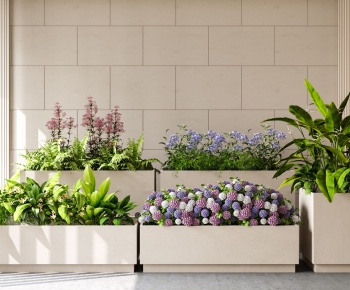 Modern Flower Bed, Flower Bowl, Flower Box-ID:243113997