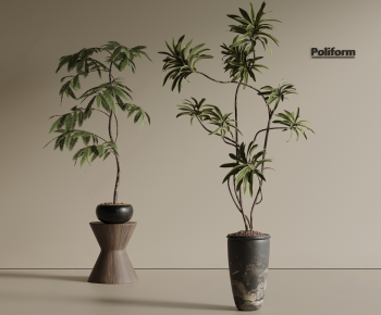 Modern Ground Green Plant Potted Plants-ID:376591928