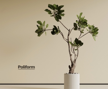 Modern Ground Green Plant Potted Plants-ID:302329061