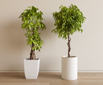 Modern Ground Green Plant Potted Plants-ID:876538997