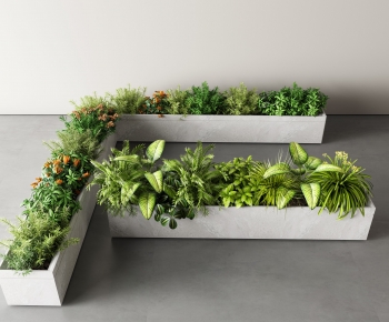Modern Flower Bed, Flower Bowl, Flower Box-ID:415971995