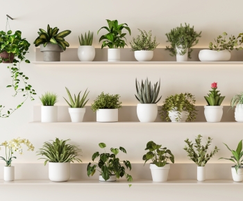 Modern Desktop Plant-ID:105498083