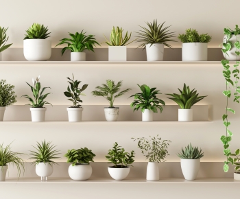 Modern Potted Green Plant-ID:221116071