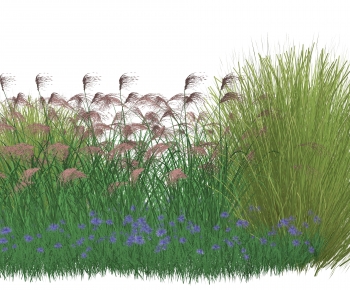 Modern Plant Pile-ID:684258971