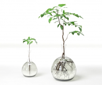 Modern Aquatic Green Plant-ID:633609336