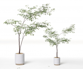 Modern Ground Green Plant Potted Plants-ID:589271077