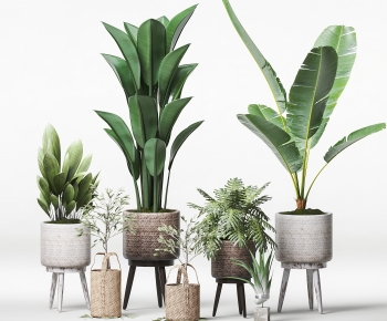 Modern Ground Green Plant Potted Plants-ID:108599762