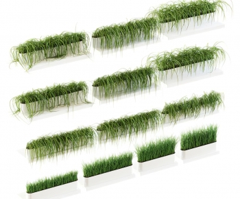 Modern Flower Bed, Flower Bowl, Flower Box-ID:274872061