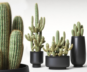 Modern Potted Green Plant-ID:337897062