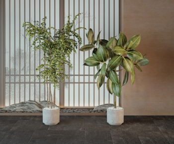 Modern Ground Green Plant Potted Plants-ID:334130056