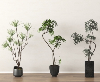 Modern Ground Green Plant Potted Plants-ID:785092121