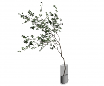 Modern Aquatic Green Plant-ID:426497946