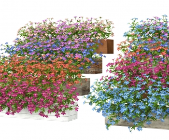 Modern Flower Bed, Flower Bowl, Flower Box-ID:477756023