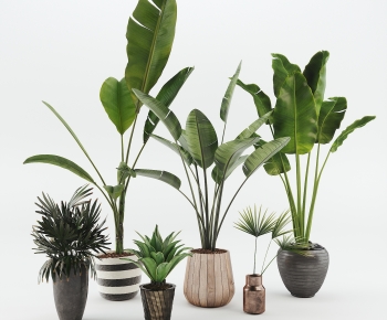 Modern Ground Green Plant Potted Plants-ID:207215079