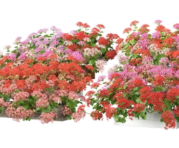Modern Flowers And Grass-ID:135675912
