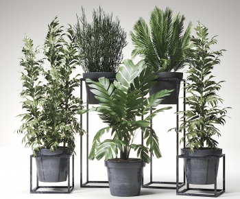 Modern Ground Green Plant Potted Plants-ID:573890928