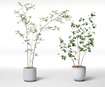 Modern Ground Green Plant Potted Plants-ID:477626095