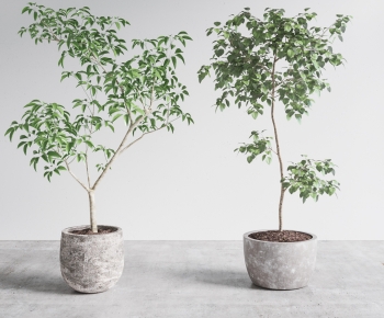 Modern Ground Green Plant Potted Plants-ID:305222993