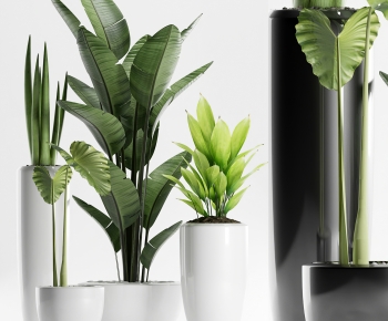 Modern Ground Green Plant Potted Plants-ID:701328995