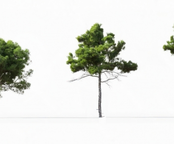 Modern Tree-ID:802021984