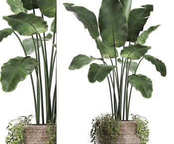 Modern Ground Green Plant Potted Plants-ID:299714094