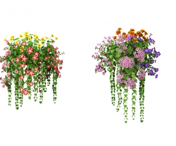 Modern Chlorophytum Comosum-ID:616070993