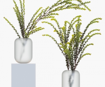 Modern Aquatic Green Plant-ID:689160882