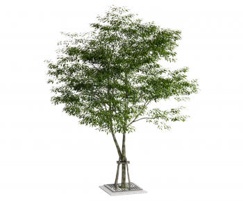 Modern Tree-ID:144367936
