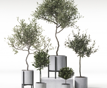 Modern Ground Green Plant Potted Plants-ID:438391921