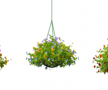 Modern Chlorophytum Comosum-ID:907567983