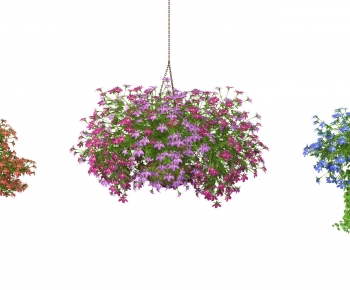 Modern Chlorophytum Comosum-ID:841072088