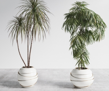 Modern Ground Green Plant Potted Plants-ID:697698126