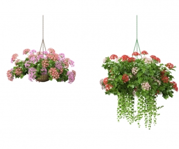 Modern Chlorophytum Comosum-ID:305001974