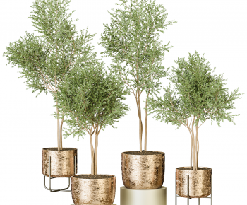 Modern Ground Green Plant Potted Plants-ID:635122067